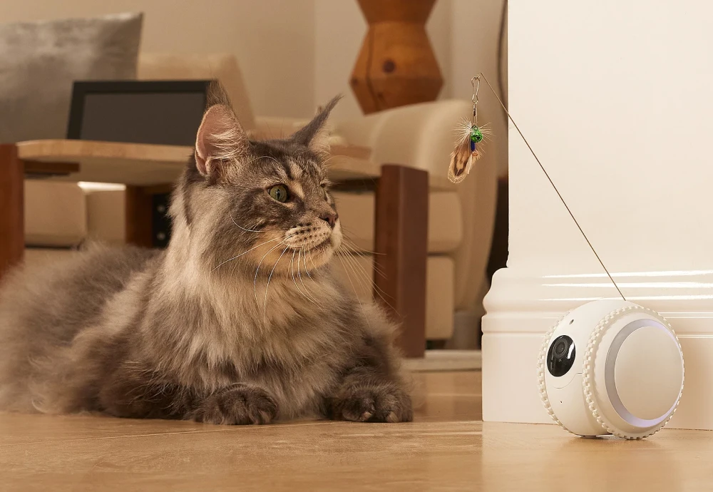 pet video camera monitor